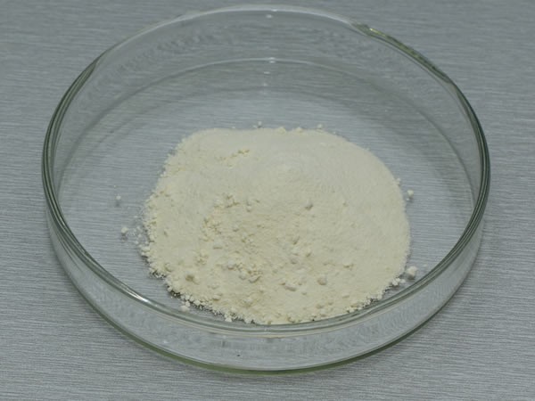 单宁酶（鞣酸酶，丹宁酶）Tannase