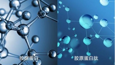 东恒华道告诉您酶解鱼鳞制备多肽怎么样