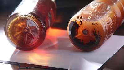 酒曲与酶制剂有什么区别？两个可以同时使用吗？