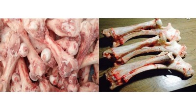 酶法水解生产骨蛋白肽可用酶制剂有哪些？