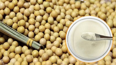 酶解法制备大豆蛋白肽具有什么优势？