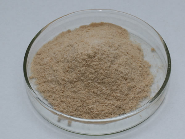膜清洗酶（膜清洗剂，洗涤酶）