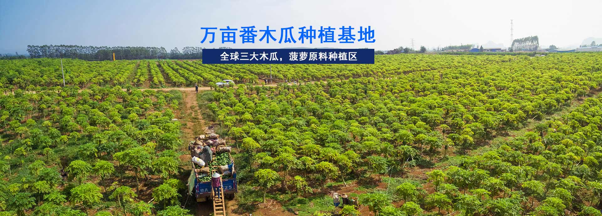 东恒华道-工业园占地5亩，生产车间10000㎡
