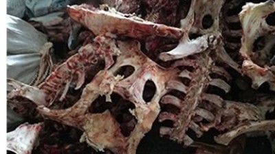 牛骨、猪骨蛋白胨生产，适合的酶制剂有哪些呢？